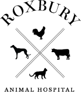 Roxbury Animal Hospital Logo